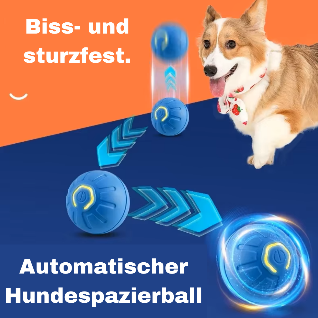 Spielzeug für Hunde und Katzen | Avenirship