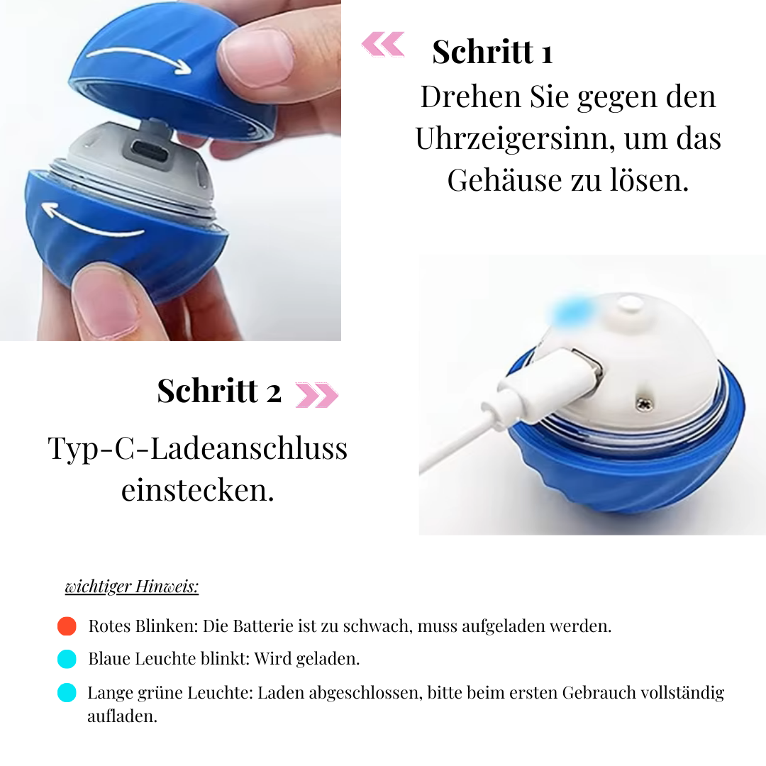 Spielzeug für Hunde und Katzen | Avenirship