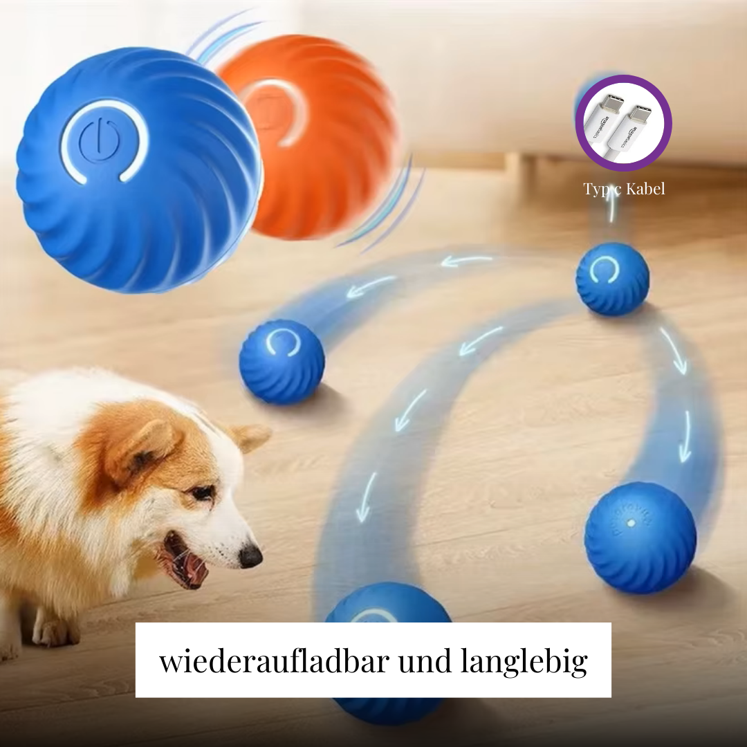 Spielzeug für Hunde und Katzen | Avenirship
