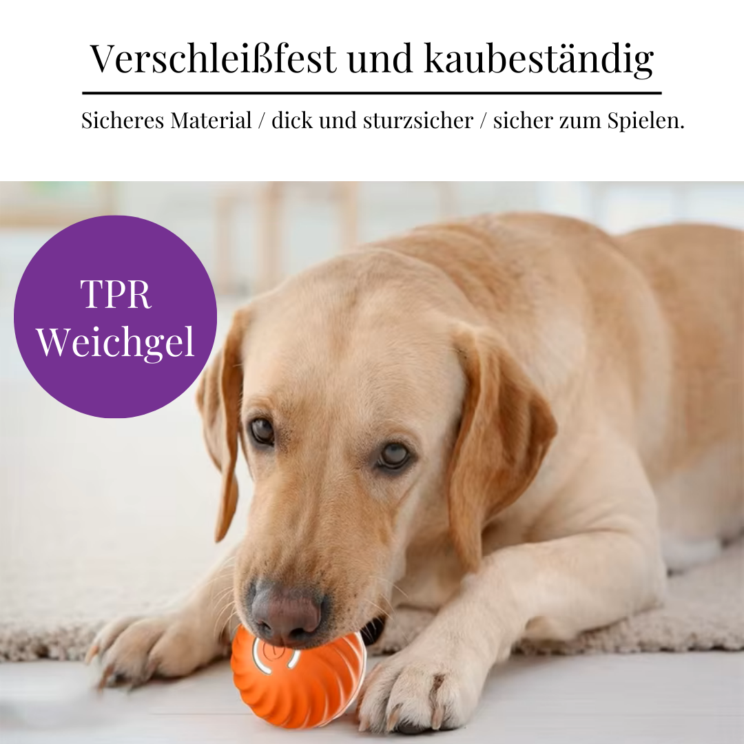 Spielzeug für Hunde und Katzen | Avenirship