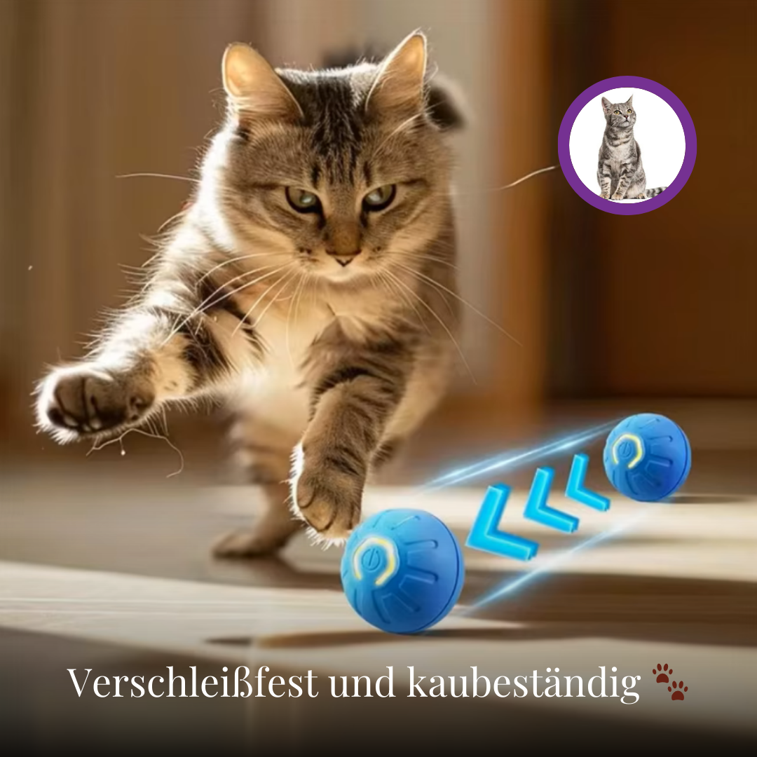 Spielzeug für Hunde und Katzen | Avenirship