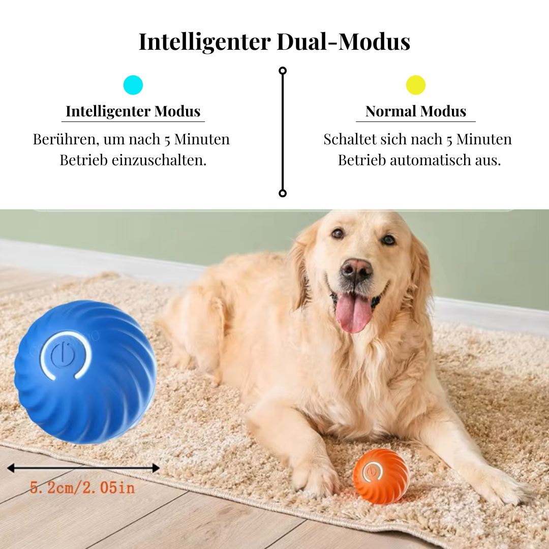 Spielzeug für Hunde und Katzen | Avenirship