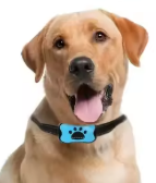 Ultraschall Antibellhalsband für Hunde – Stoppt Bellen Effektiv | Avenirship