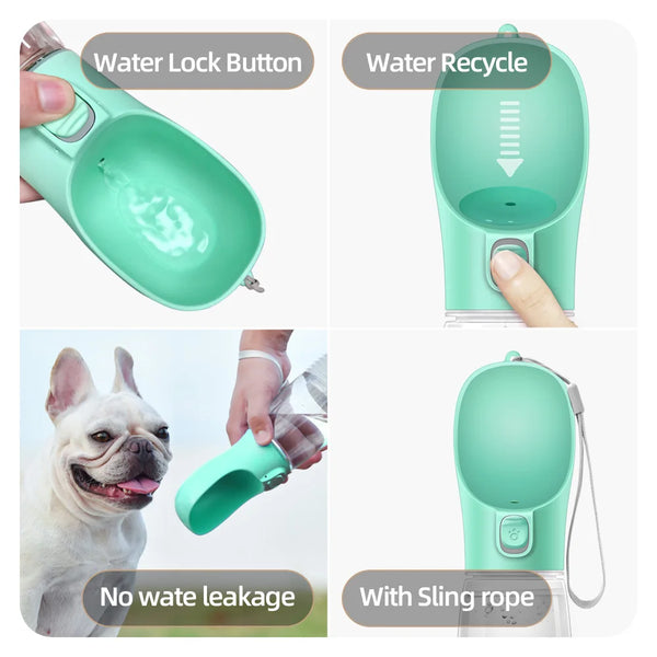Tragbare Hundewasserflasche für unterwegs