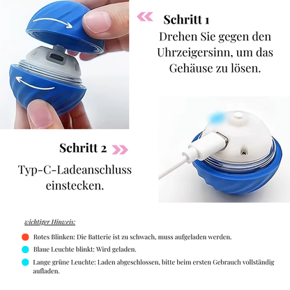 Spielzeug für Hunde und Katzen | Avenirship