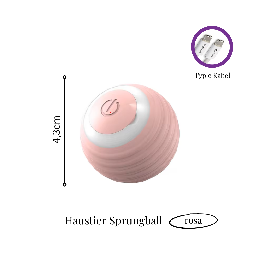 Spielzeug für Hunde und Katzen | Avenirship
