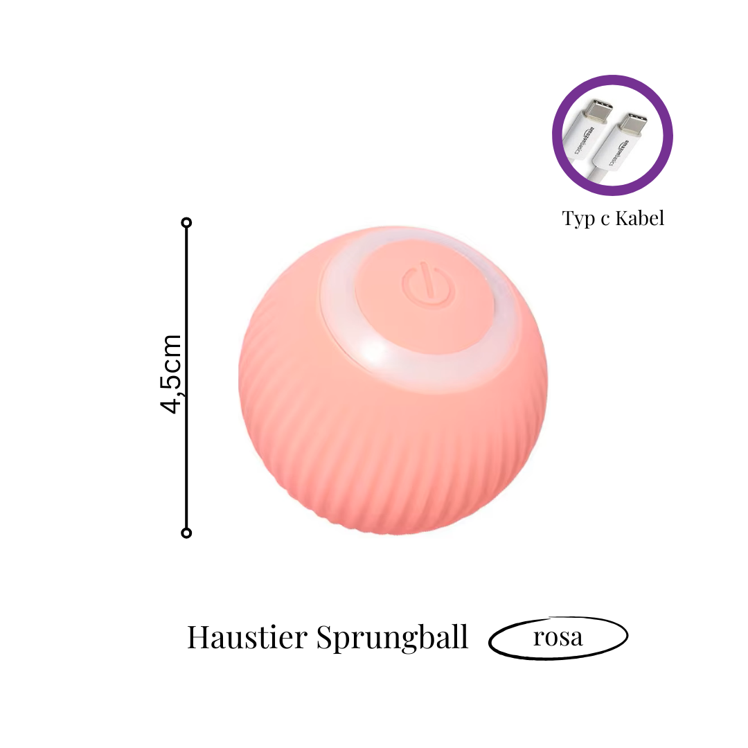 Spielzeug für Hunde und Katzen | Avenirship