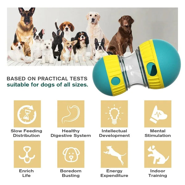 Spiel & Lern Hundeball | Avenirship
