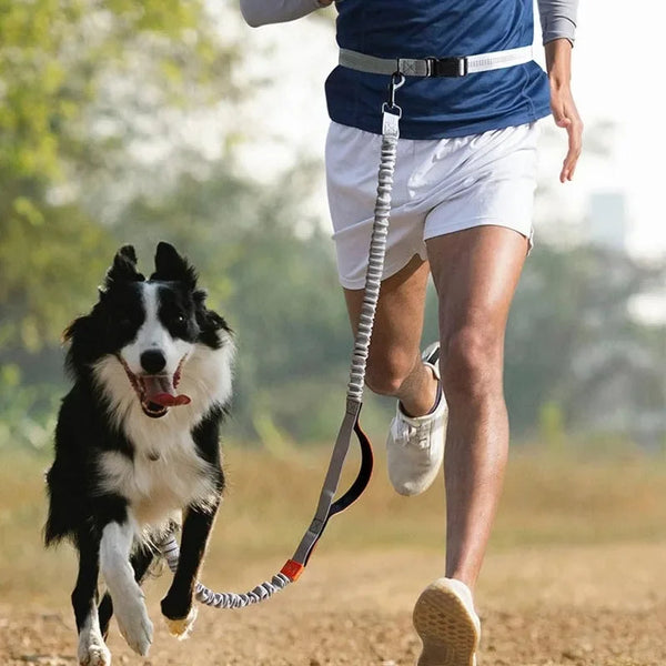 Freihändige Laufleine für Hunde
